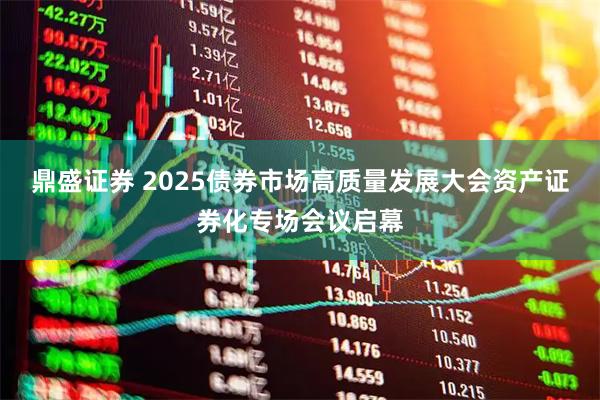 鼎盛证券 2025债券市场高质量发展大会资产证券化专场会议启幕