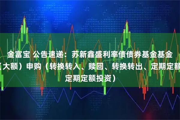 金富宝 公告速递:苏新鑫盛利率债债券基金基金暂停(大额)申购(转换转入、赎回、转换转出、定期定额投资)