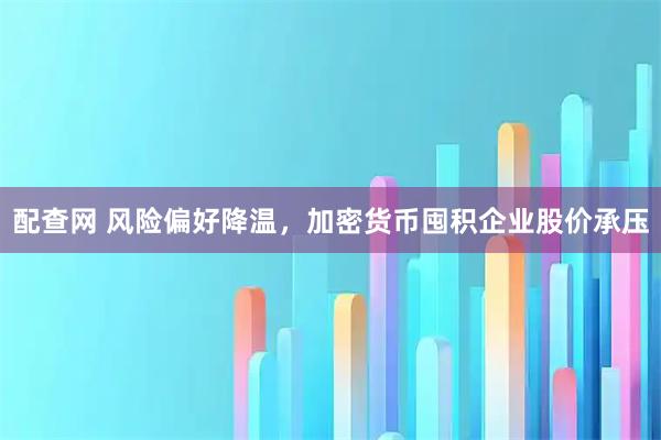 配查网 风险偏好降温，加密货币囤积企业股价承压