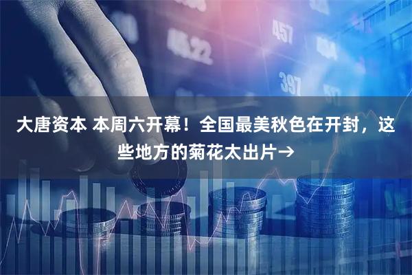 大唐资本 本周六开幕!全国最美秋色在开封,这些地方的菊花太出片→