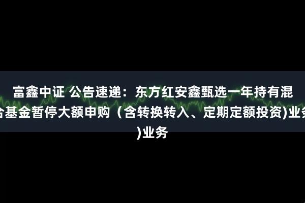 富鑫中证 公告速递：东方红安鑫甄选一年持有混合基金暂停大额申购（含转换转入、定期定额投资)业务